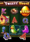 The Tweety House Slot Hari Ini Live Draw Florida