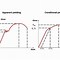 Yield Strength Adalah